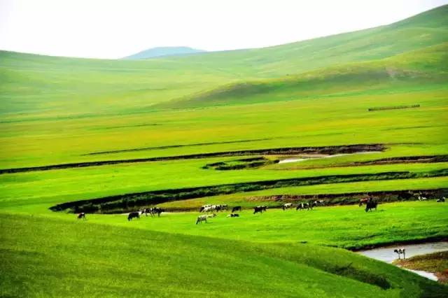 乐橙视频播放 以确保兼容性和修复已知问题