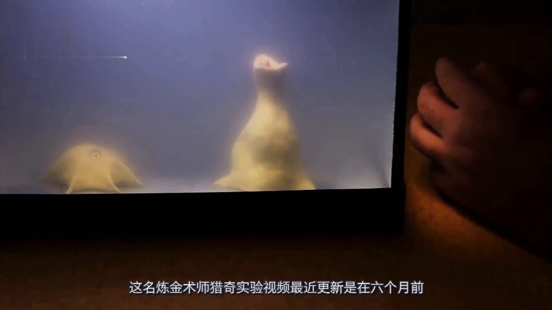 无限臀山伦理 无限臀山臀山对不起