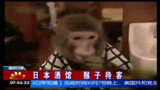 无限臀山第一页 第页搞笑评论区或 meme 图中