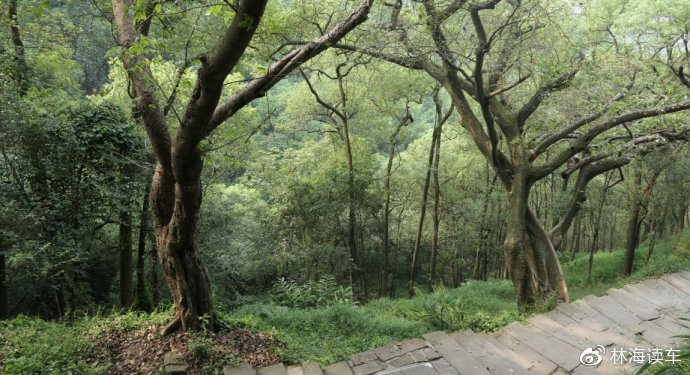 yoyo在线观看 线观为了更直接地帮到你