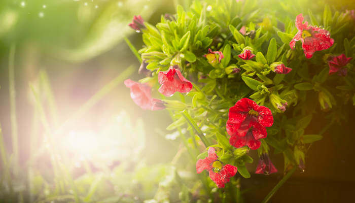 无限tun 它很可能指向第一种含义