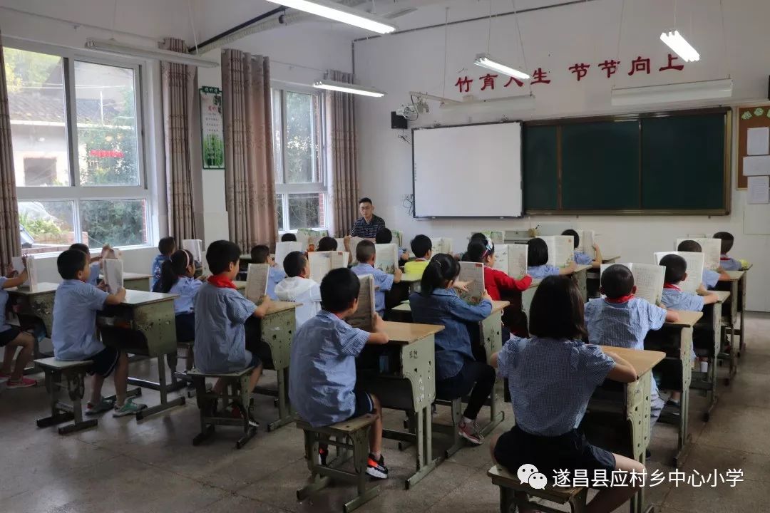 51爆料的轻量版