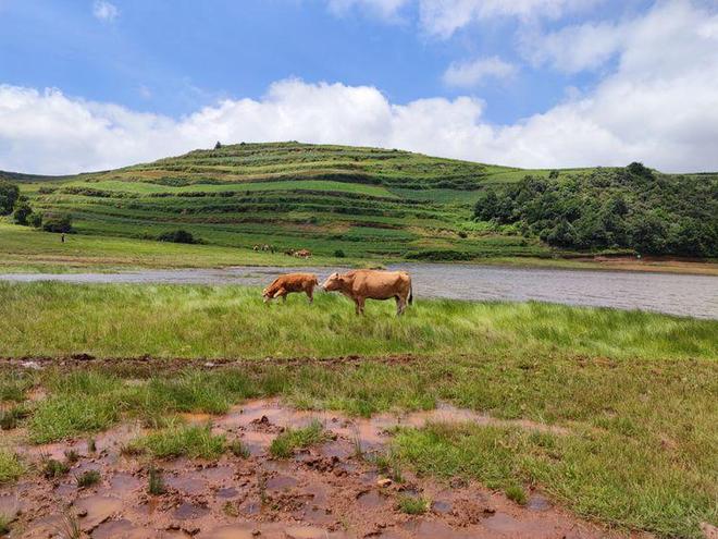 永久免费精品精品永久-夜色
