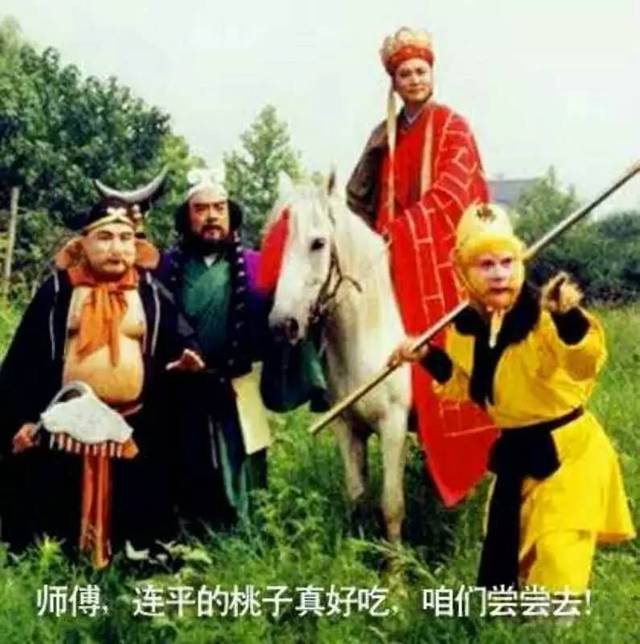 馨缘视频 积极向上的馨缘视频内容