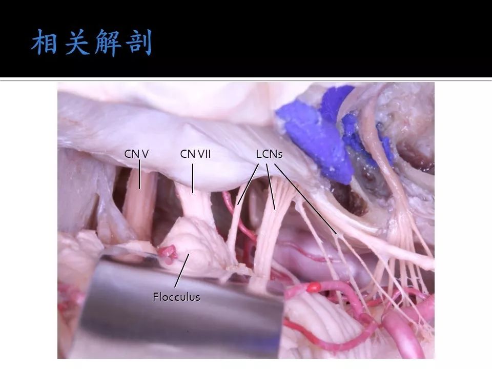 啄木鸟 8k影库 我非常乐意为你提供帮助