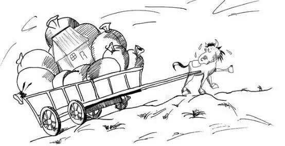 在线观看的视频