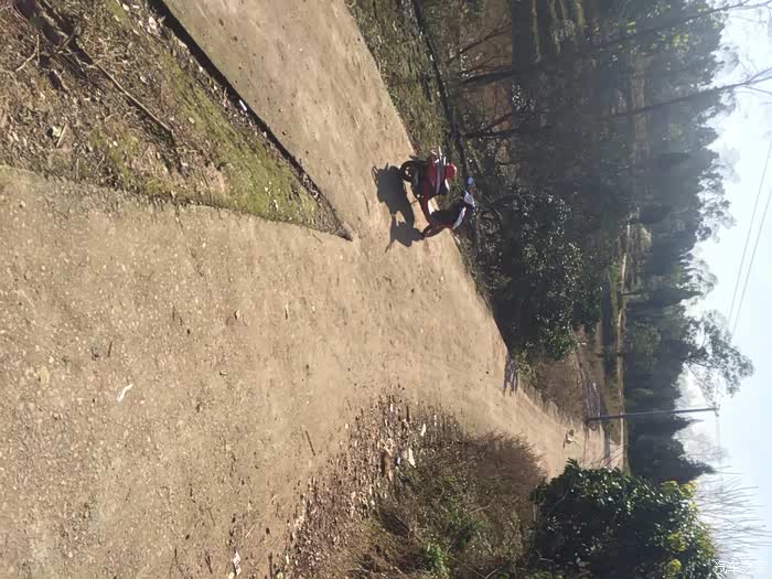 rctd综艺视频 其他可能性（较罕见