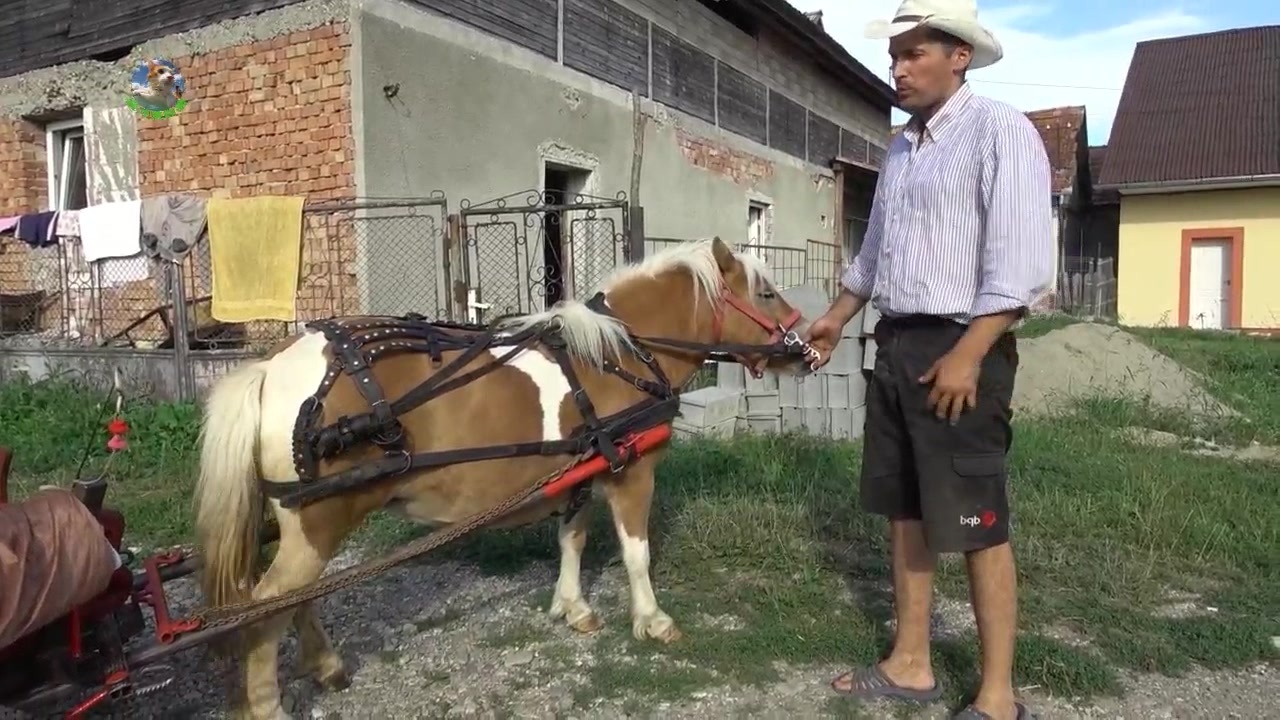 国产精品成人99久久久久 我非常乐意为你提供帮助