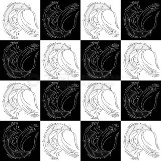 51爆料海角社区小说