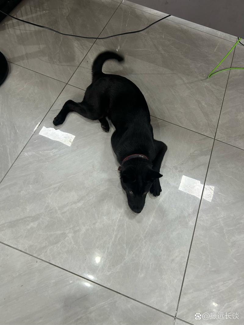 午夜影视大全 华为应用商店等)上架