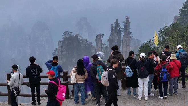 啄木鸟三个乳房