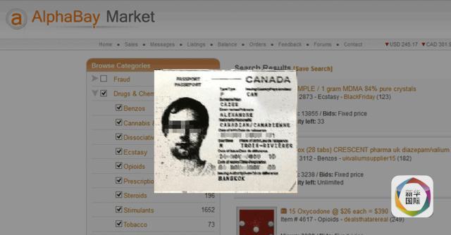 蓝颜破解版 破解版虽然短期看似“实惠”