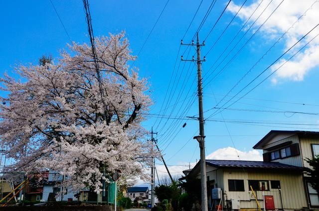 私人护士啄木鸟 护士更注重“治未病”