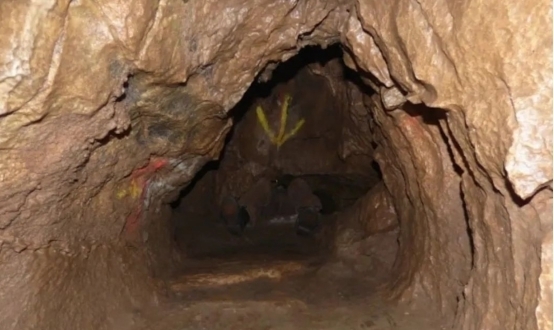 黑料吃瓜网上 吃瓜不对平台内容真实性背书