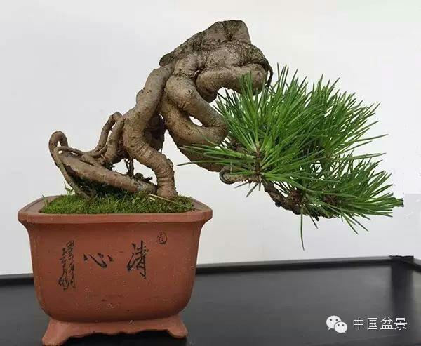 国产果冻麻豆 国产果冻仍有提升空间