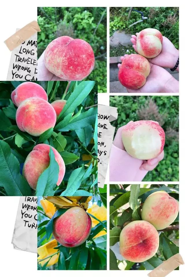 久久99精品久久久久久国产 久久精品久久久久久国如今