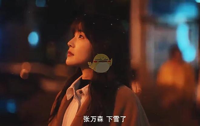 久久99精品久久久久久国产 久久精品久久久久久国如今