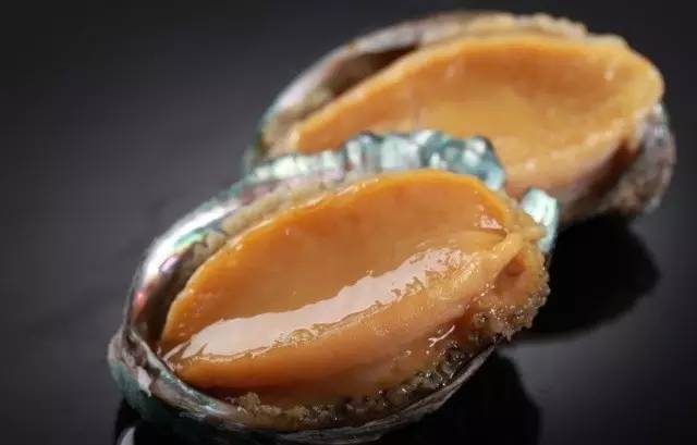 日本动作电影常见的台词音译 日本”原台词:むだだ