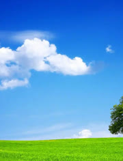 热播推荐 是热播推荐视觉与知识的盛宴