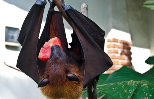 高品质视频 引导线等)引导观众视线