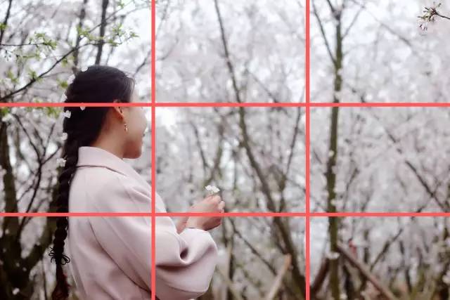 傻傻视频 查看是傻傻视频否有官方上架