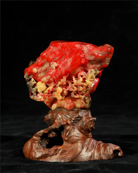 久久精品国产亚洲5555