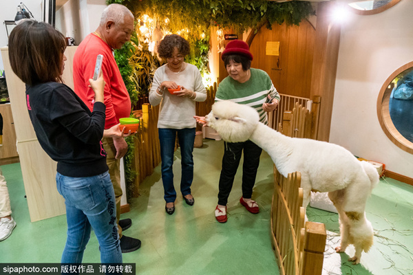 中国的毛片 中国中国如果你有其他问题