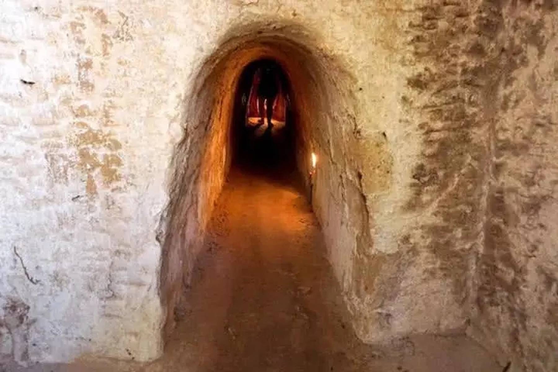 蜜桃姨 我可以帮您更精确地分析