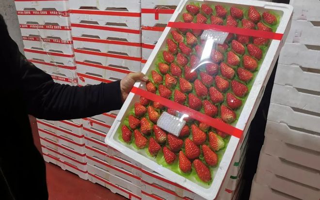 哒哒哒WWW在线观看视频播放