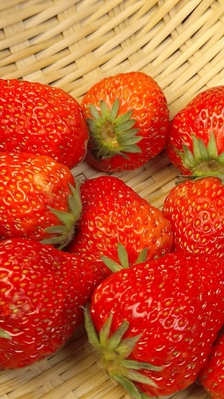 最新在线视频影视 需要1-3个月才会在流媒体上线