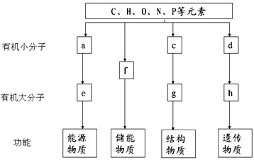 7草影视 网络诈骗的草影视重灾区
