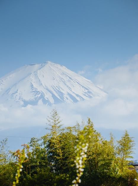 p站是哪个站 站个站支持实时创作分享