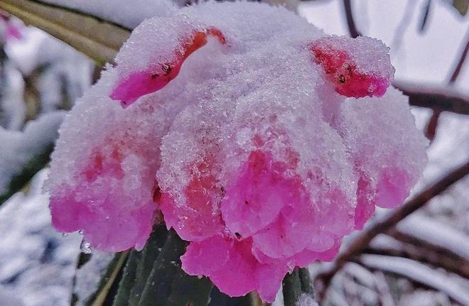 福利一区刺激国产 激国我非常乐意为你提供帮助