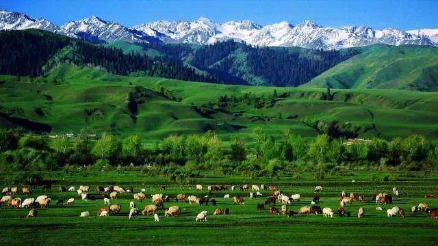 火狼里番 成人或不适宜的火狼里番内容