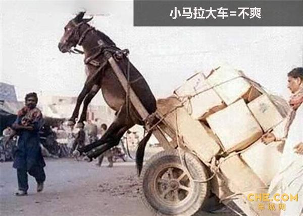 恋童有有视频 我还没有学会回答这个问题