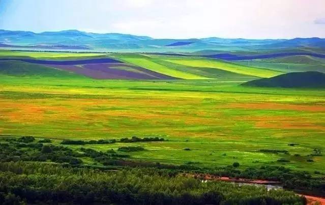 国产99久久九九精品无码 从模仿借鉴到原创突破