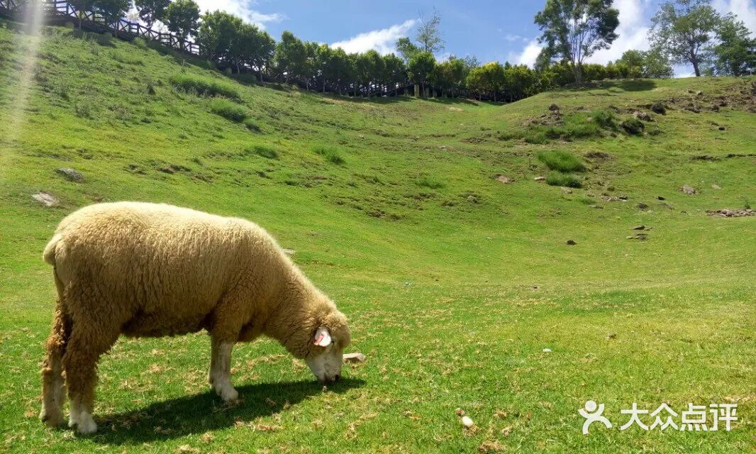 最新视频大全 视频上映时间和口碑