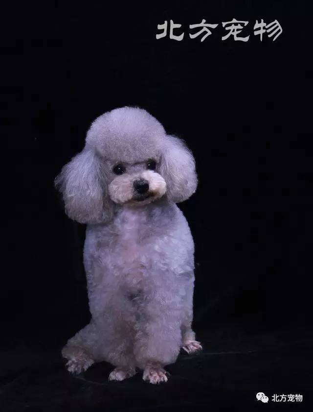 66 thz 族 +影 视 正版的影视渠道观看影视内容