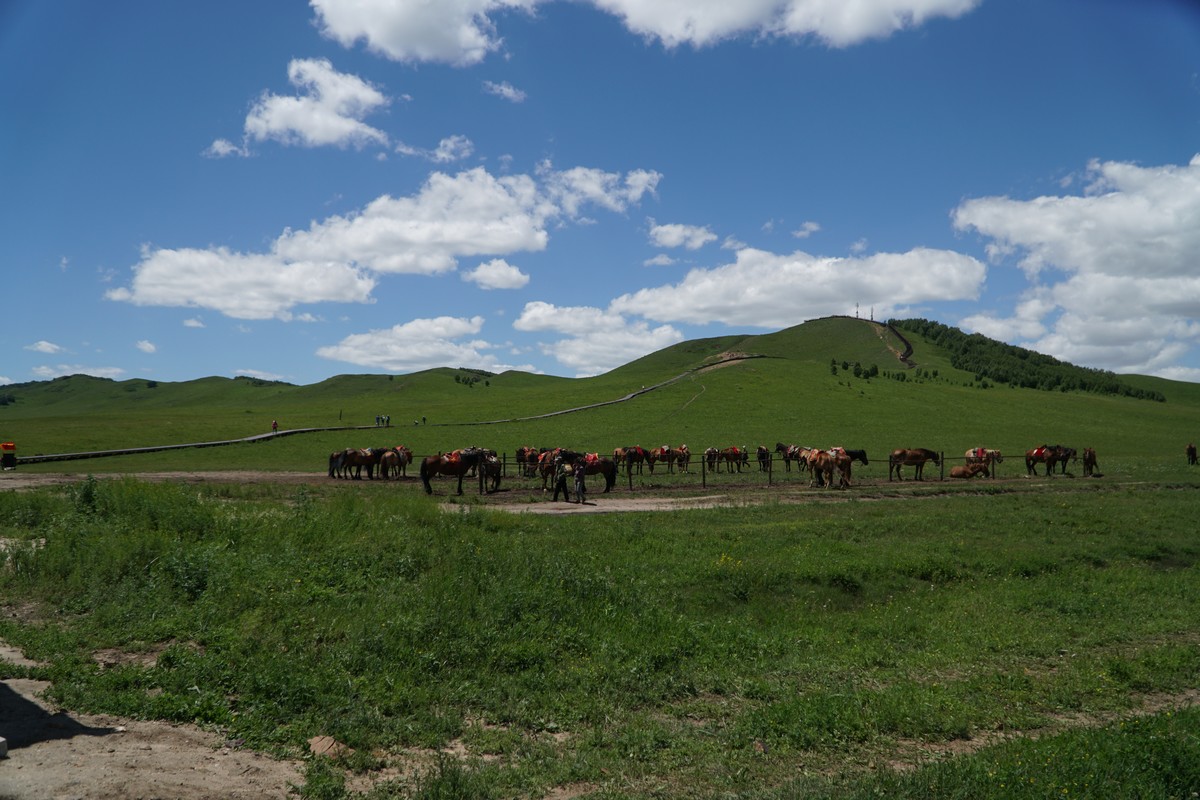 山文京传 您可以尝试提供更多线索