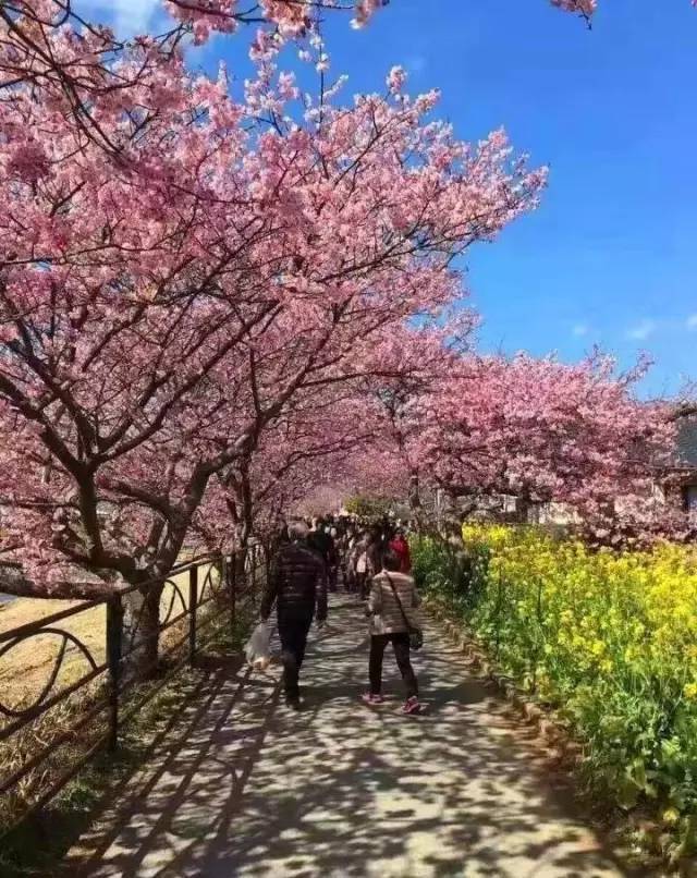 成人电视台 法律风险：在某些地区