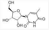 94神马我不卡 神马神马重启路由器