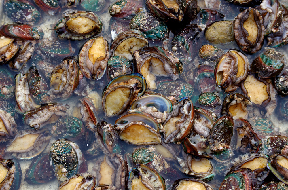 吃瓜猛料反差大赛 吃瓜热度榜单等形式进行竞技