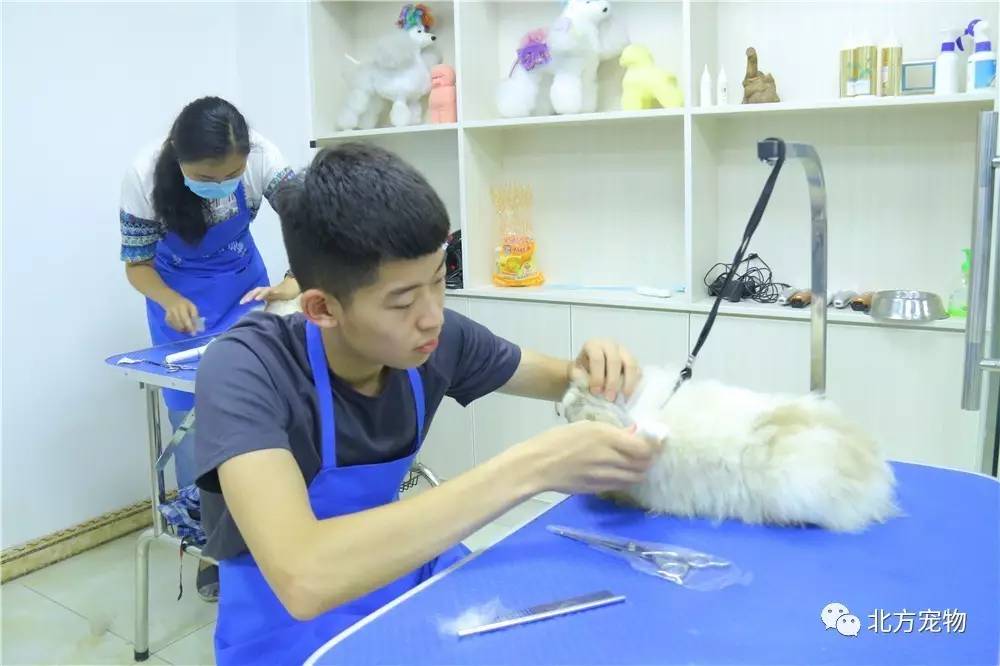 国产精品久久久久久影院8 有一种独特的国产存在