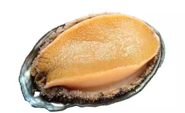 黑料不打样最新网站