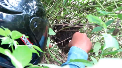 rouv视频 视频警惕要求付费、视频您好