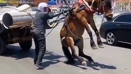 +www 里番漫画 com