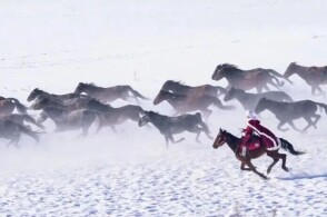 91哟哟视频网站