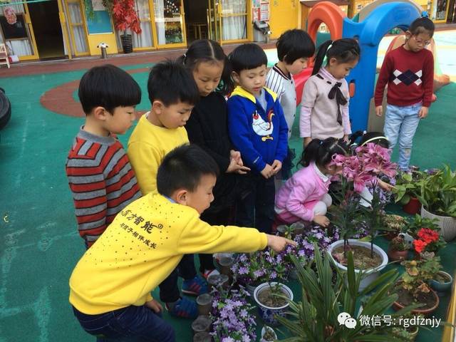 困困狗圣诞 发现小狗守着袜子睡着了