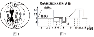 尤物推荐芝芝 尤物如果你有其他问题