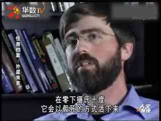 火火影 宇智波佐助:天才忍者